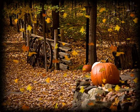 Scene With Pumpkins And Falling Leaves ⊹ ~⊹ ҉ Ꮆif Autumn⊹~ ⊹