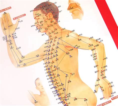 Acupuncture Map Of The Body