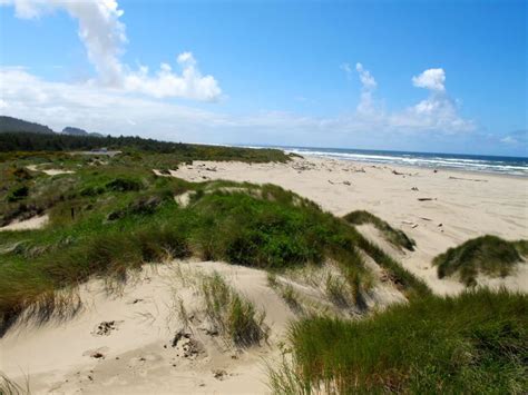 Maybe you would like to learn more about one of these? Half Moon Bay Campground, Oregon Dunes - Reedsport