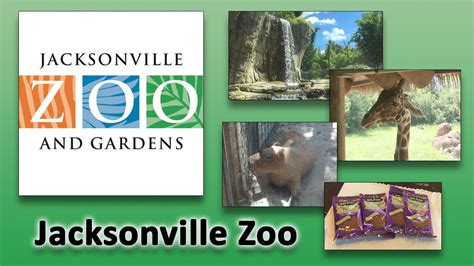 Jacksonville Zoo Map Minimalis