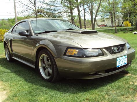 My New 2002 Gt Premium Ford Mustang Forum