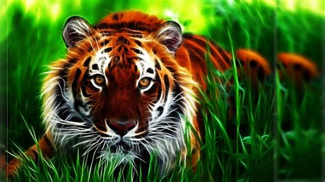 Tiger Hd Wallpaper Images