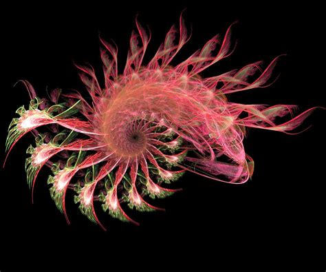 Deep Sea Creature A Photo On Flickriver