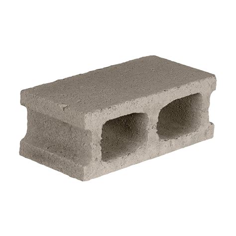 The Shaw Group 16 X 8 X 6 Perforated Cement Block Cement Blocks