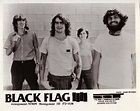 black flag | Music images, Flag, Henry rollins