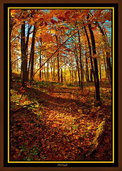 A Wisconsin Autumn Photograph By Phil Koch Fine Art America