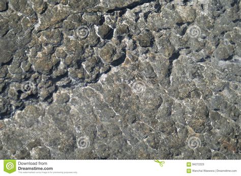 Surface Rocky Limestone Gray Limestone And Background In Thailand
