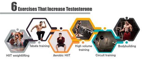 Exercise And Testosterone Does Working Increase Testosterone