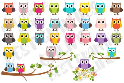 Owl Clipart Set Cute Owl On A Branch Clipart Rainbow Colors Etsy Uk