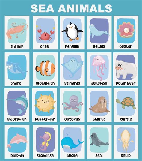 Sea Animal Poster Educational Printable Poster Vector Illustrations