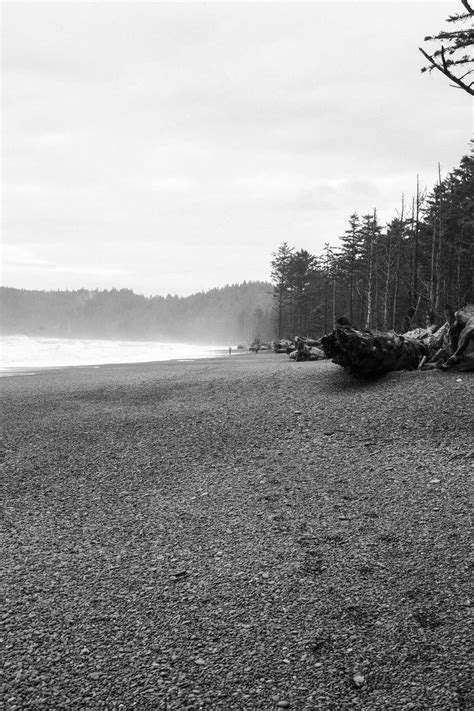 Olympic National Park Photography Photography By Studio L