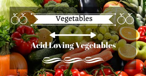 Eating vegetables vegetables are very good for our health. Acid Loving Vegetables - Top 25 Vegetable You Need To Know