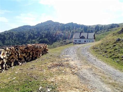 Malga Cuar Mountain Bike Trails And Tracks Komoot