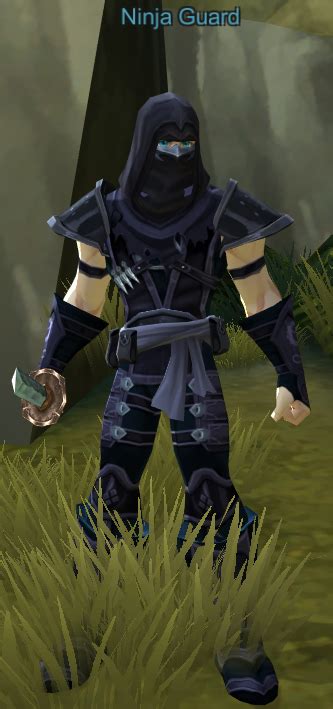 Ninja Guard Aq3d