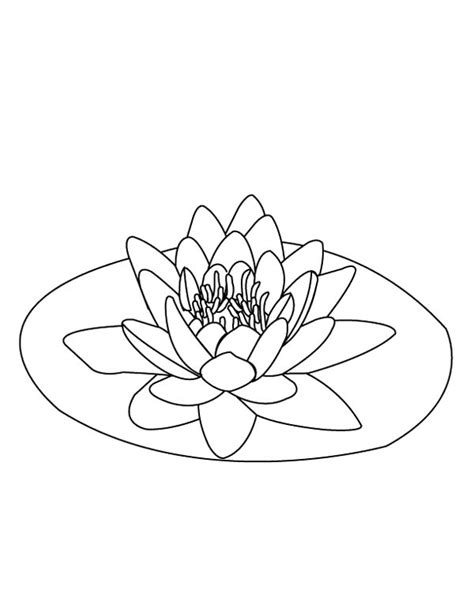 Lily Pad On The Middle Of Pond Coloring Page Color Luna