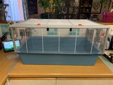 Large Syrian Hamster Cage With Accessories In Eye Suffolk Gumtree