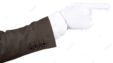 Butler S Gloved Hand Pointing Cuff Waitstaff Gloves Photo Background