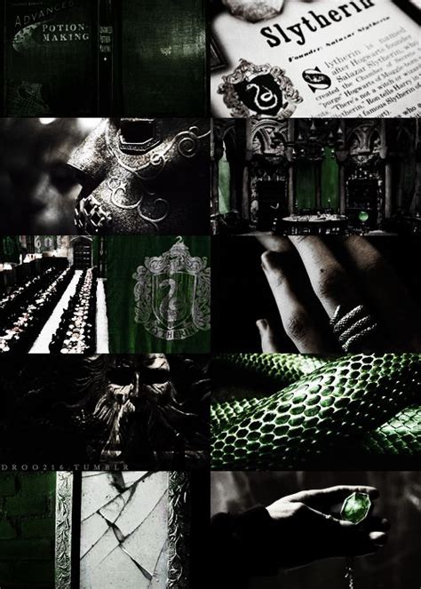 This Is The Story Of How I Died Slytherin Harry Potter Hogwarts