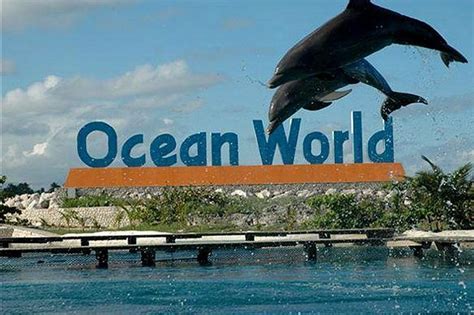 Ocean World Adventure Park Vanuit Santo Domingo Puerto Plata