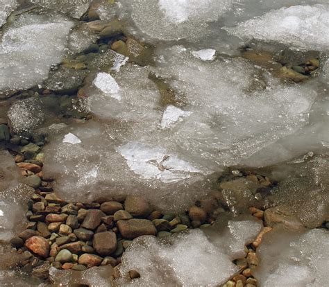 Spring Thaw Free Stock Photo Public Domain Pictures