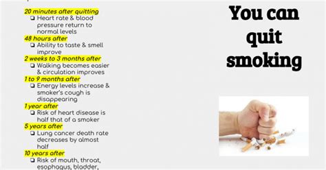 Patient Education Smoking Cessation Pamphlet Powered By Portfolium