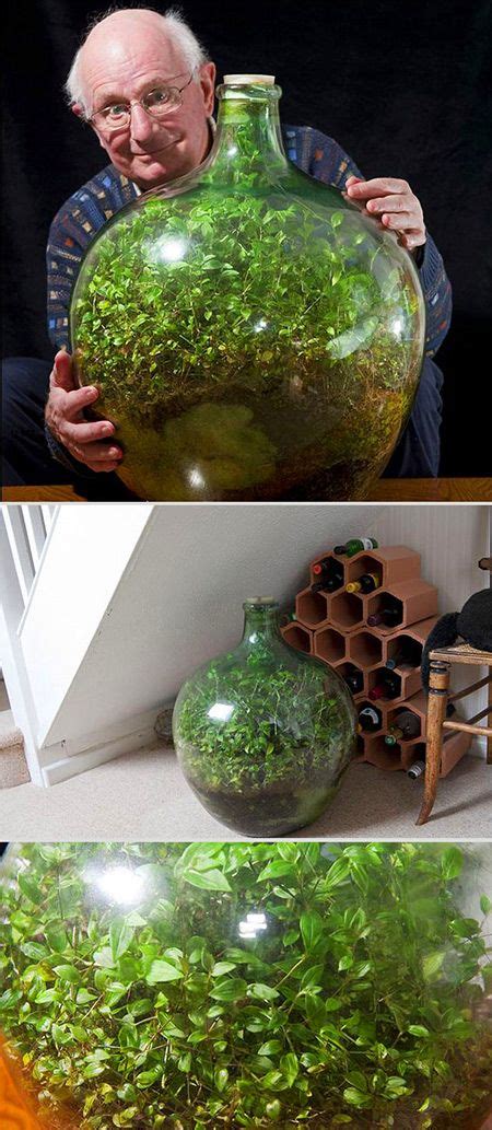 Self Sustaining Ecosystem In A Bottle My Web Value
