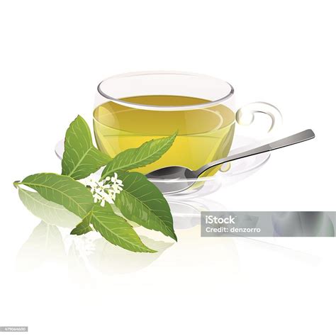 Teh Osmanthus Ilustrasi Stok Unduh Gambar Sekarang Aromaterapi Berbau Budaya Tiongkok Istock