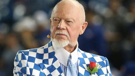 Don Cherry Canadian Hockey Pundit Fired For Poppy Rant Bbc News