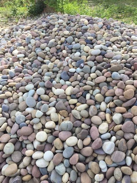 Natural River Pebbles For Landscaping At Rs 30kg In Mumbai Id