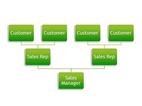The Best Sales Organization Chart Who Should The Sales Manager Really