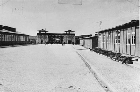 These records of both u.s. Mauthausen — Photograph