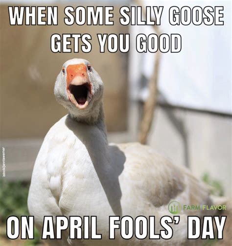 The Best And Funniest April Fools Day Memes Mamas Geeky