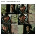 33 Funniest Ant-Man Memes That Will Make You Laugh Uncontrollably