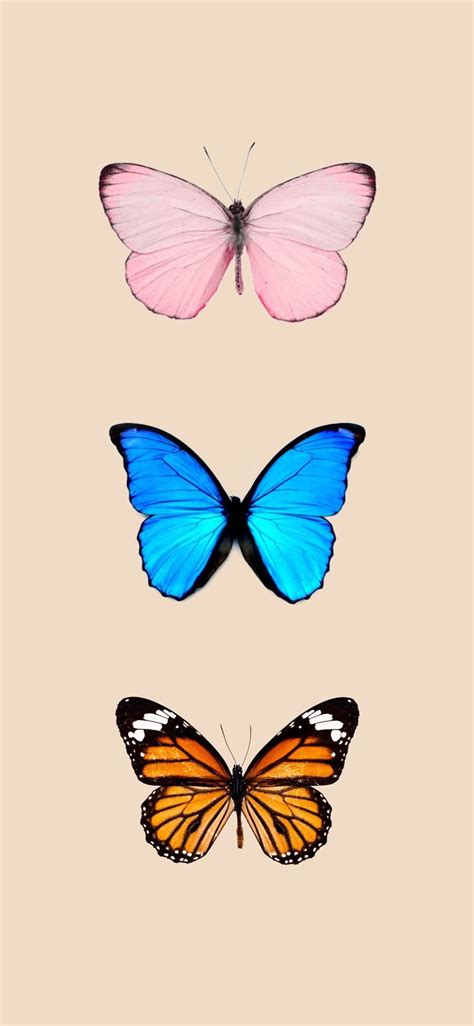 Butterfly Iphone Wallpapers Wallpaper Cave