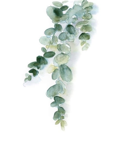 Watercolor Painting Of Green Leaves On White Background