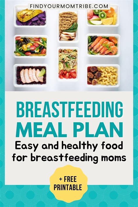 7 Day Breastfeeding Meal Plan For Great Health Free Printable
