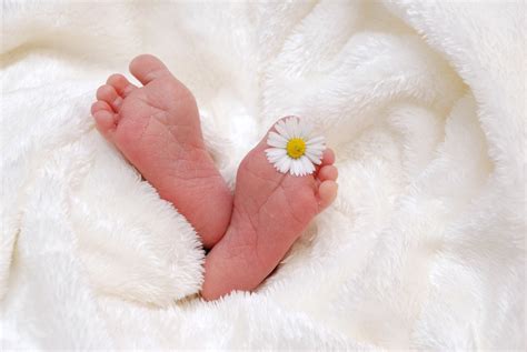 Baby Birth Child Free Photo On Pixabay