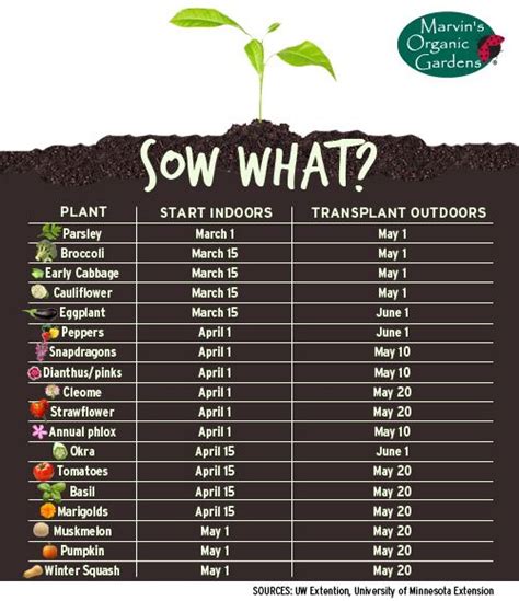 When To Start Flower Seeds Indoors Chart