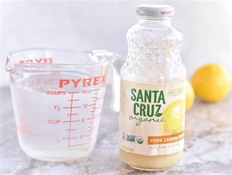 Allow to cool, then place in the refrigerator for at least 1 hour to chill. Keto Lemonade with Monk Fruit — Foodborne Wellness