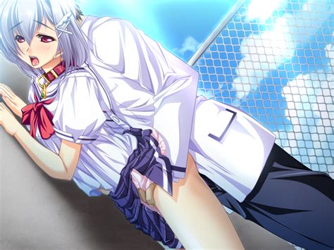 Rule 34 Bed Blush Breasts Female Fence Game Cg Goshujinsama Daisuki