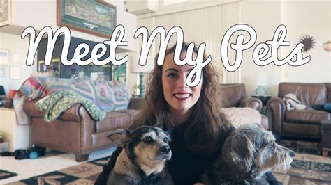Meet My Pets Tag Youtube