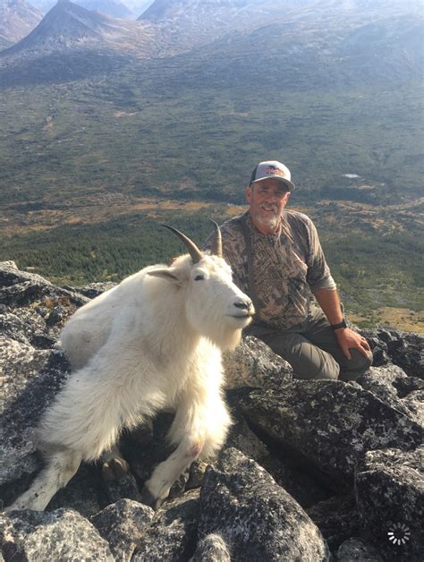 Mountain Goat Hunts Backcountry Bc And Beyond Best Canadian Moose