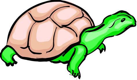 Baby Turtles Cartoon Clipart Best