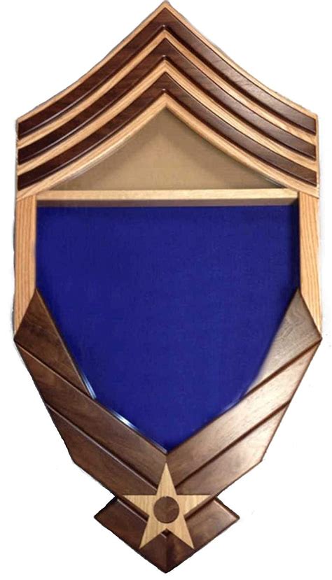 E 9 Air Force Logochief Master Sergeant Cmsgt Shadow Box