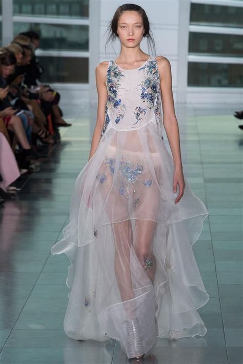 Antonio Berardi Spring 2015 Ready To Wear Collection Gallery Look 45 Dior