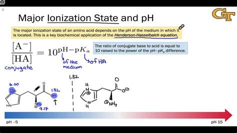 Acidity And Ionization States Of Amino Acids Youtube