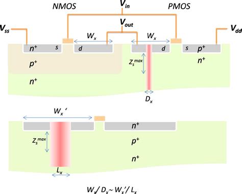 A common issue for any cmos circuit is the existance of a parasitic thyristor resulting from the npnp structure that exists between any complementary pair source/drain contacts. Top) Cross-sectional view of a CMOS inverter struck by an ...