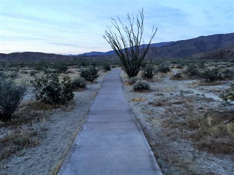 Anza Borrego State Park