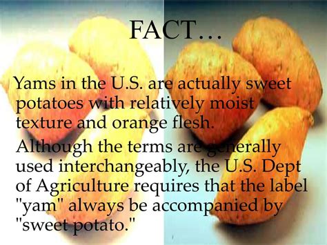 Ppt Sweetpotatoes Or Sweet Potatoes Powerpoint Presentation Free