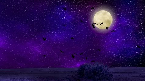 Moon Night Wallpapers Top Free Moon Night Backgrounds Wallpaperaccess